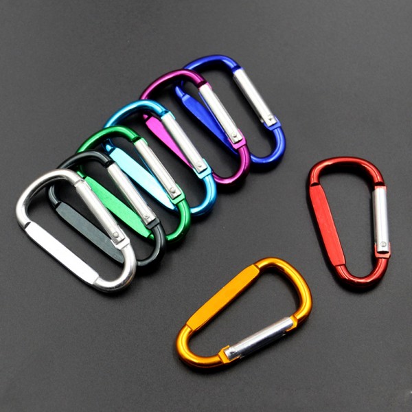 Carabiner Key Chain