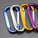 Carabiner Key Chain