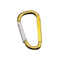 Carabiner Key Chain