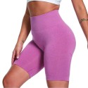 Women's Fitness High Waist Yoga Sports Tights Short Pants