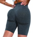 Women's Fitness High Waist Yoga Sports Tights Short Pants